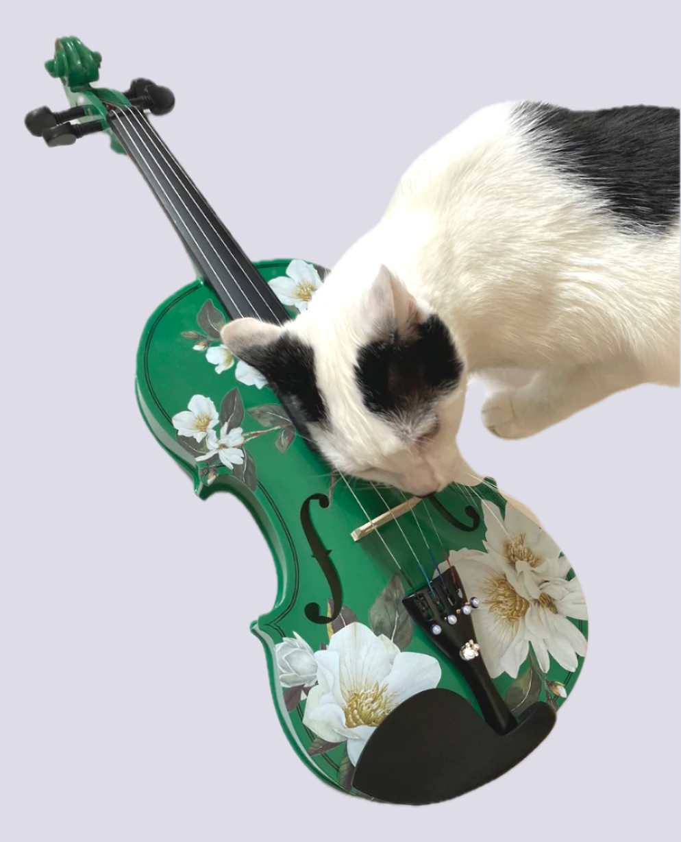 Magnolia Heaven Emerald Green Violin Outfit