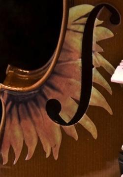 Sunflower Signature Violin Outfit